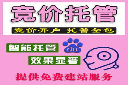 百度推广优化实战技巧与案例解析
